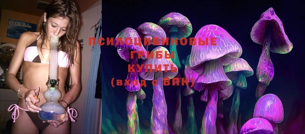 стафф Алексин