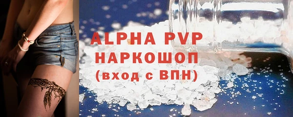 стафф Алексин