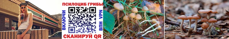 Псилоцибиновые грибы Psilocybe  Дмитриев 