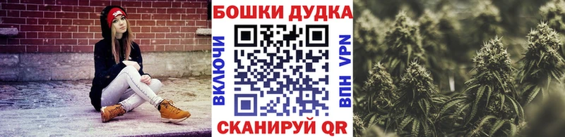 блэк спрут онион  Дмитриев  Конопля планчик 